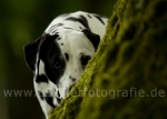 10 Sommer 2010
